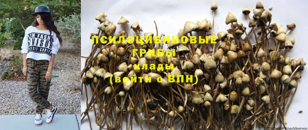 крисы Армянск