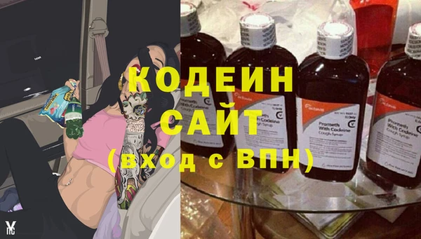 стаф Балахна